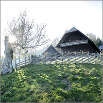 Peter Rosegger Museum